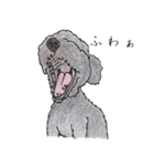 animal life - jp（個別スタンプ：6）