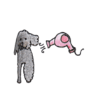 animal life - jp（個別スタンプ：11）