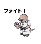 animal life - jp（個別スタンプ：21）