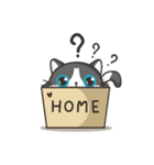 Cat Named FullMoon（個別スタンプ：1）