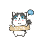 Cat Named FullMoon（個別スタンプ：6）