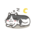 Cat Named FullMoon（個別スタンプ：15）