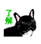 フレブルえびす（個別スタンプ：1）