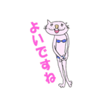 猫の使える会話（敬語バージョン）（個別スタンプ：24）