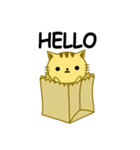 QQ Cat（個別スタンプ：1）