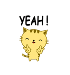 QQ Cat（個別スタンプ：6）