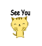 QQ Cat（個別スタンプ：13）