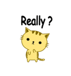 QQ Cat（個別スタンプ：17）