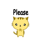 QQ Cat（個別スタンプ：19）