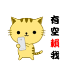 QQ Cat（個別スタンプ：40）
