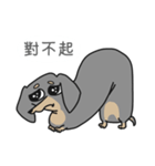 DOOOOOOG（個別スタンプ：6）