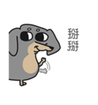 DOOOOOOG（個別スタンプ：7）