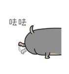 DOOOOOOG（個別スタンプ：12）