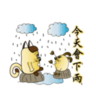 Majicat rabbit pills（個別スタンプ：27）