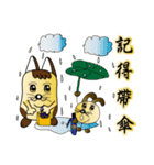 Majicat rabbit pills（個別スタンプ：28）