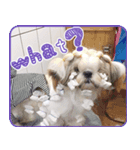 ピエロキャッスル 2（個別スタンプ：4）