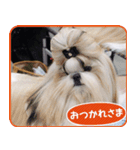 ピエロキャッスル 2（個別スタンプ：8）