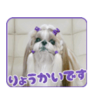 バッフィー＆シモン＆アルバ スタンプ（個別スタンプ：5）