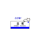 神戸線の駅名と可愛い関西のネコたち 2（個別スタンプ：4）
