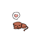 Home kitten（個別スタンプ：8）