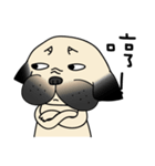 KUMA the Pug: Life（個別スタンプ：20）