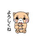 ポン太とうさ子のなかよしスタンプ（個別スタンプ：13）