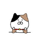 むぎにゃん（個別スタンプ：14）