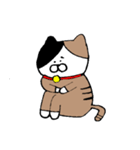 むぎにゃん（個別スタンプ：20）
