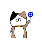 むぎにゃん（個別スタンプ：21）