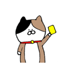 むぎにゃん（個別スタンプ：23）
