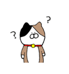 むぎにゃん（個別スタンプ：26）