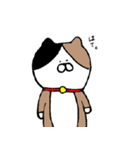 むぎにゃん（個別スタンプ：27）
