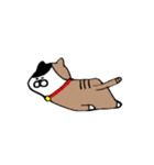 むぎにゃん（個別スタンプ：30）