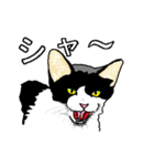 ネコへんじ 02（個別スタンプ：10）