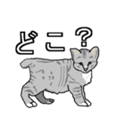 ネコへんじ 03（個別スタンプ：3）