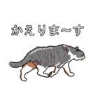 ネコへんじ 03（個別スタンプ：5）