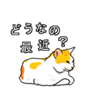 ネコへんじ 03（個別スタンプ：10）