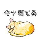 ネコへんじ 03（個別スタンプ：12）