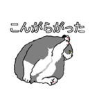 ネコへんじ 03（個別スタンプ：13）
