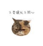 Banban（個別スタンプ：1）