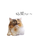 Banban（個別スタンプ：4）