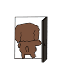 トイプードルのチョコ君（個別スタンプ：3）