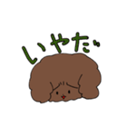 トイプードルのチョコ君（個別スタンプ：13）
