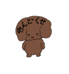 トイプードルのチョコ君（個別スタンプ：15）