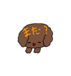 トイプードルのチョコ君（個別スタンプ：16）