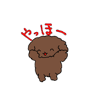 トイプードルのチョコ君（個別スタンプ：17）