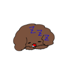 トイプードルのチョコ君（個別スタンプ：21）
