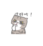 COOLMENG（個別スタンプ：5）