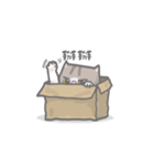 COOLMENG（個別スタンプ：10）
