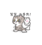 COOLMENG（個別スタンプ：14）